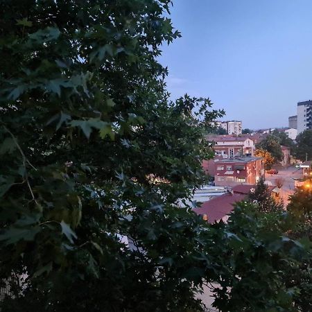 Center Cosy Apartment Üsküp Dış mekan fotoğraf