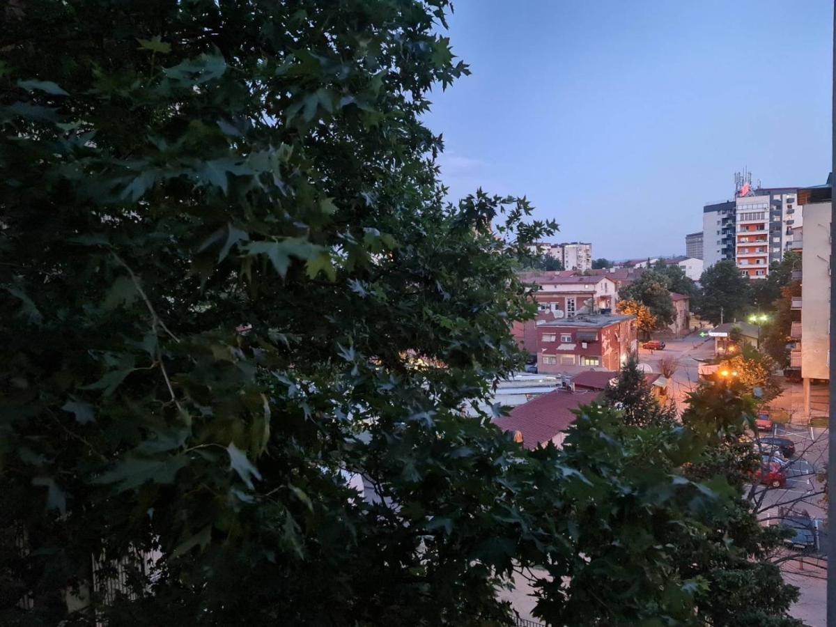 Center Cosy Apartment Üsküp Dış mekan fotoğraf